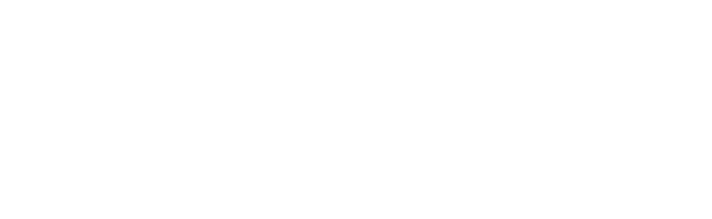 visa-white
